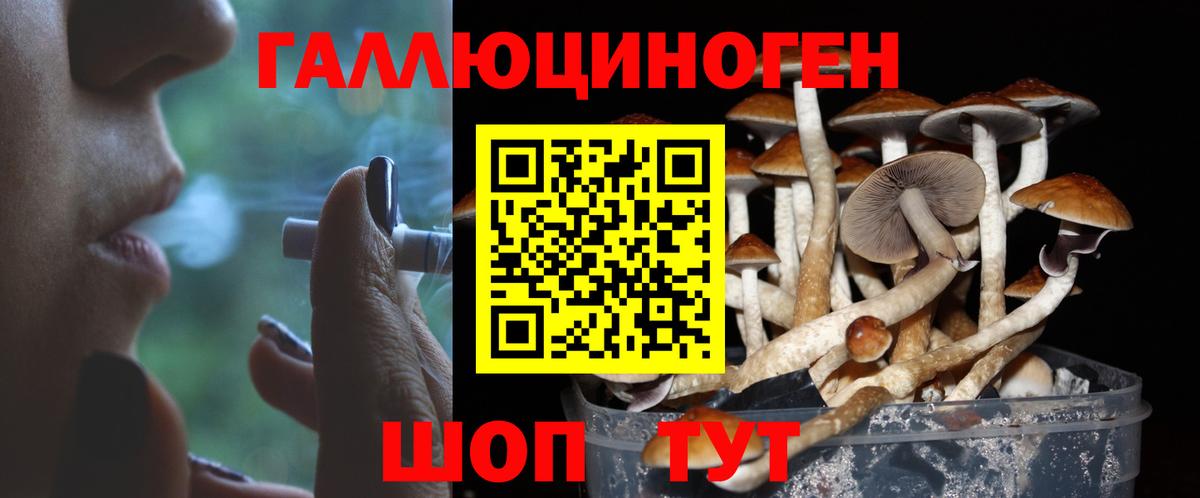 Псилоцибиновые грибы Magic Shrooms  Вход с VPN  Кулебаки 